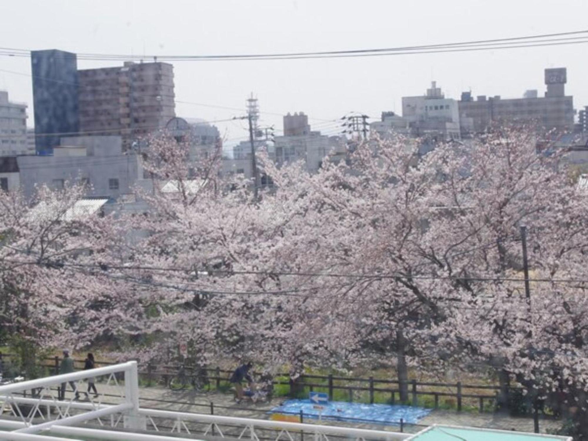 Tottori City Hotel / Vacation Stay 81355 エクステリア 写真